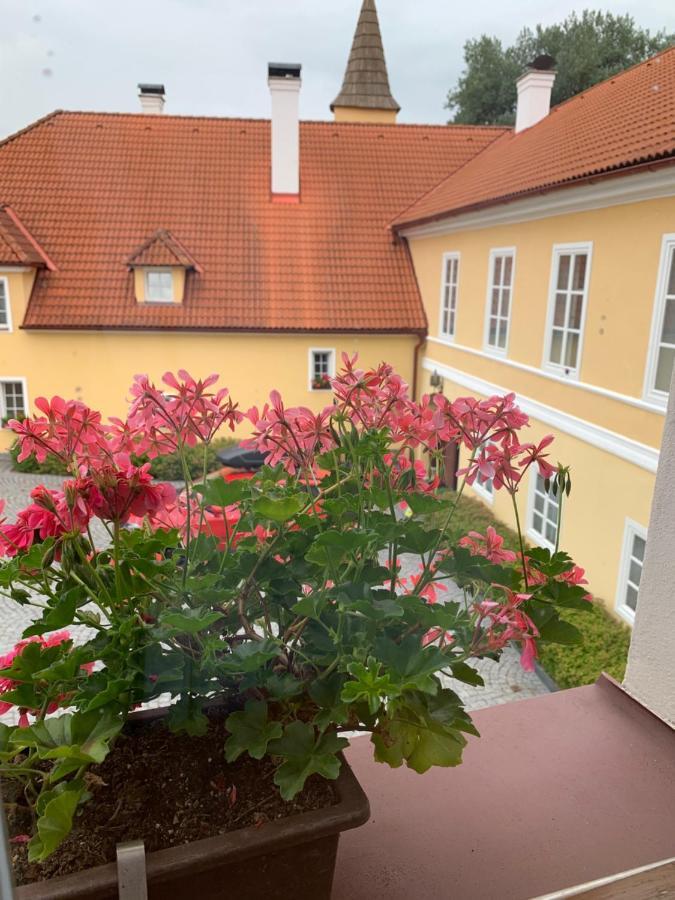 Zamek Jindrichovice Hotell Kolinec Exteriör bild